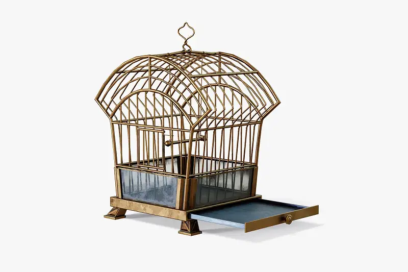 Birdcage Edwardian style Asset Thumbnail