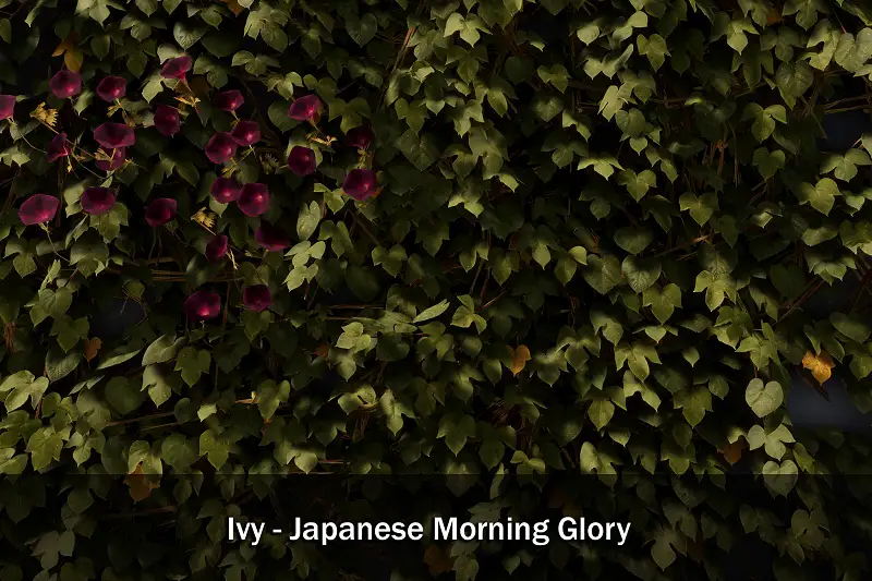 Ivy - Japanese Morning Glory Plant Pack Asset Thumbnail