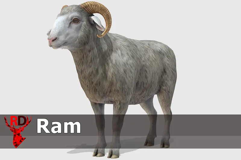 Ram Asset Thumbnail