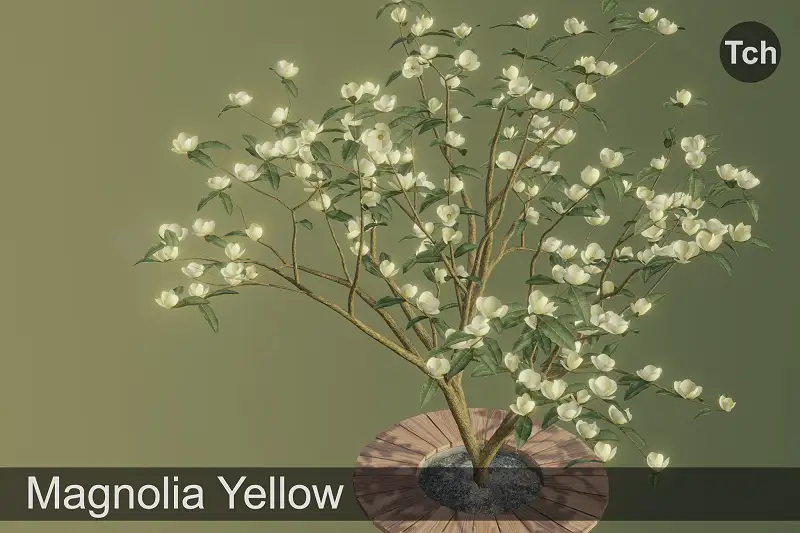 Yellow Magnolia Tree 3D Model Asset Thumbnail