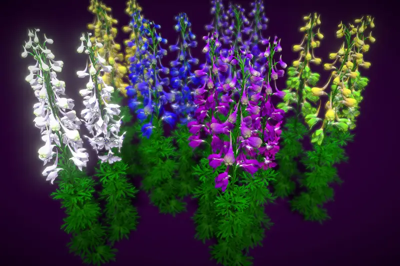 Flower Delphimum Ajacis Asset Thumbnail
