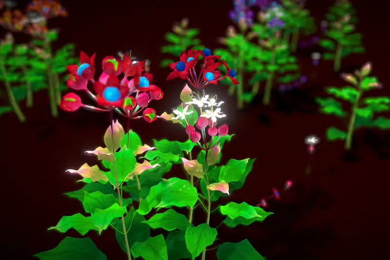 Flower Clerodendrum Trichotomum Asset Thumbnail