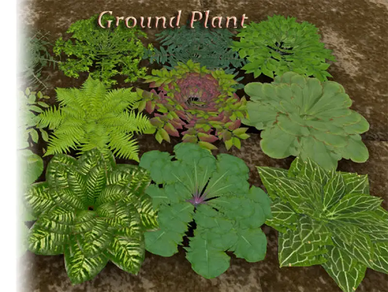 Ground Plant Pack Asset Thumbnail