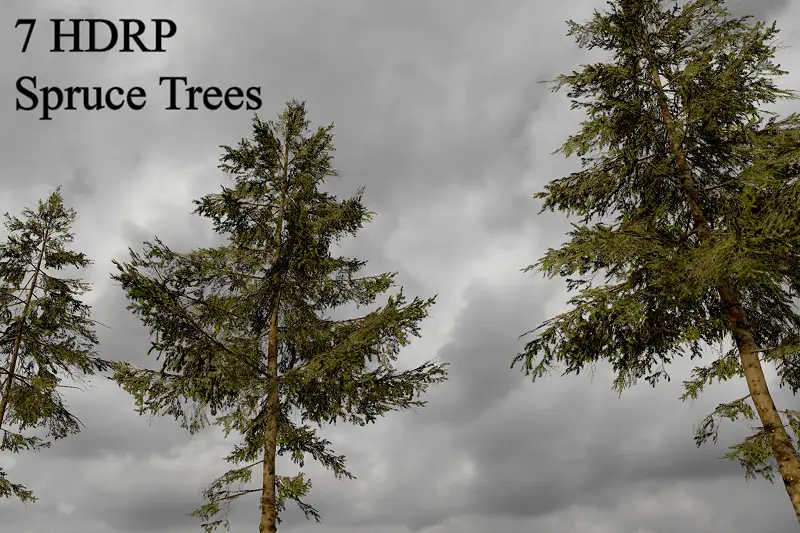 7 HDRP Spruce Trees Package Asset Thumbnail