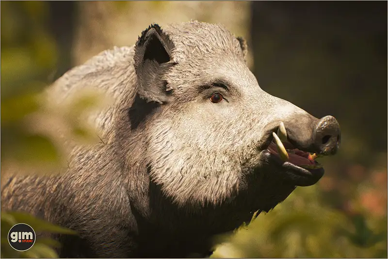 Realistic Male Wild Boar 3D Model Asset Thumbnail