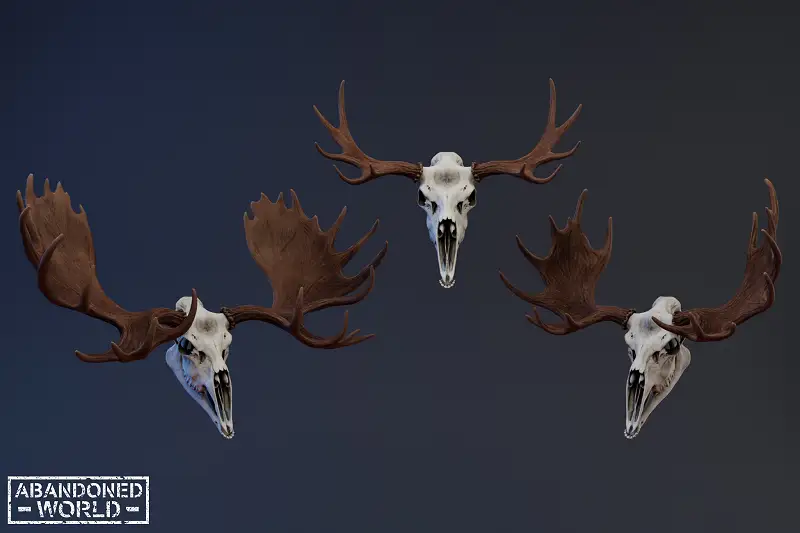 Moose Skull 3D Model Asset Thumbnail