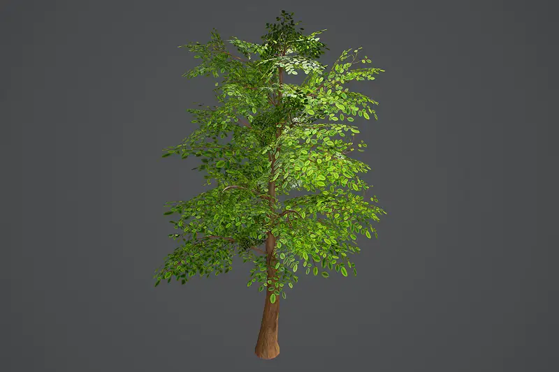 Stylized Tree Asset Asset Thumbnail