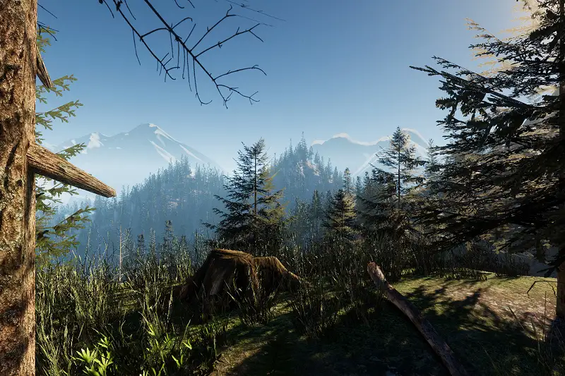 Mountain Forest Trees Asset Thumbnail