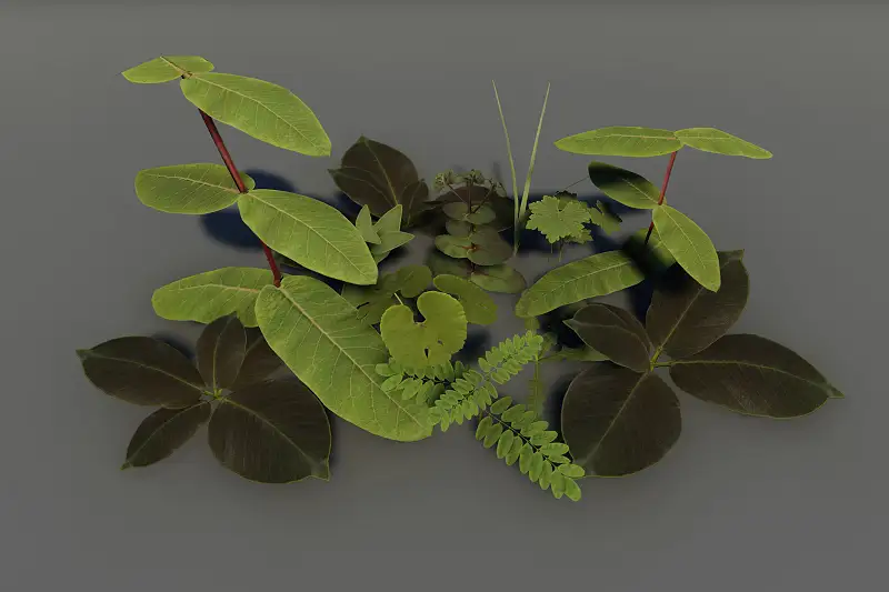 PBR Plant Pack Ontario Asset Thumbnail