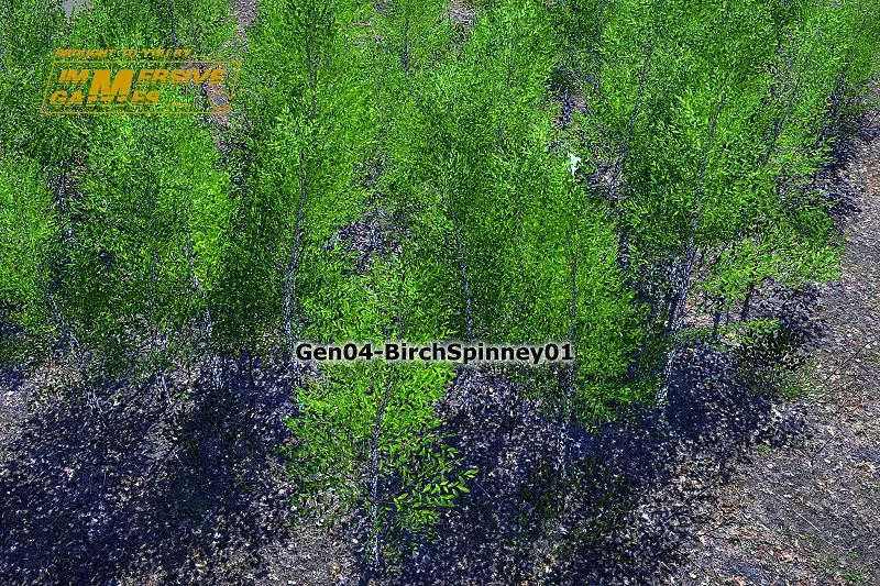 Gen04-BirchSpinney01 Asset Thumbnail