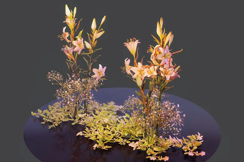 Flowers (Lilies, Vincas and Baby's-breath) Asset Thumbnail