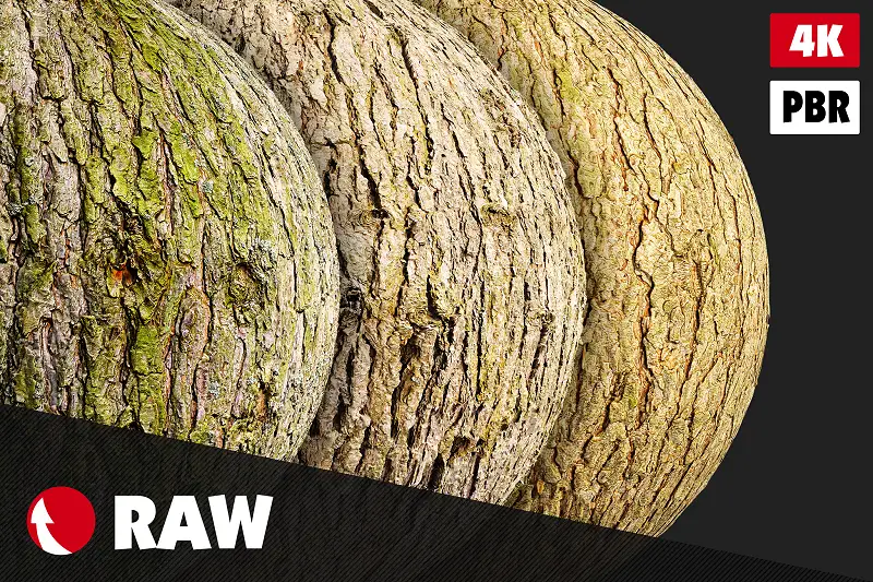 Pine Bark Textures Pack #2 Asset Thumbnail