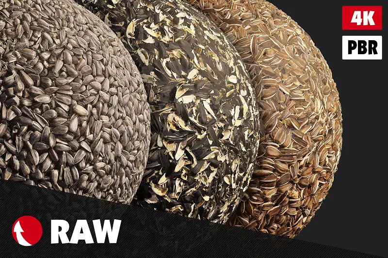 Sunflower Seeds Textures Pack Asset Thumbnail