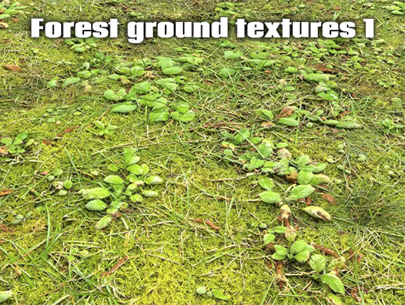 Forest Ground Textures Pack Asset Thumbnail