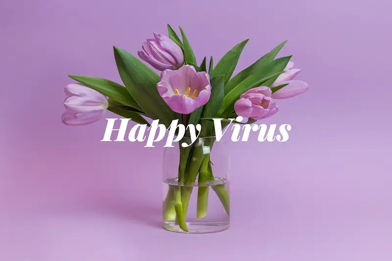 Happy Virus: A Romantic Soundtrack Asset Image