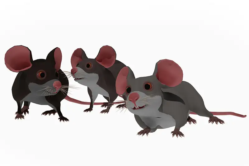 Toon Mouse (Stylized) Asset Thumbnail