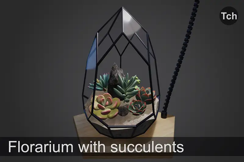 3D Florarium with Succulents Asset Thumbnail