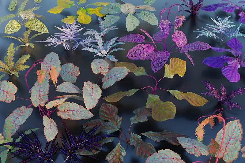 (LITE) Splash of Color - Unique Photogrammetry Plants Asset Thumbnail