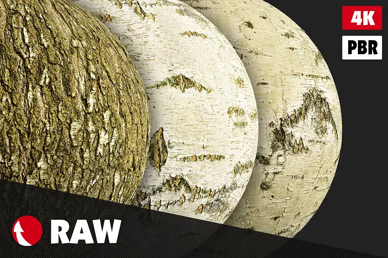 Birch Bark Textures Pack #2 Asset Thumbnail