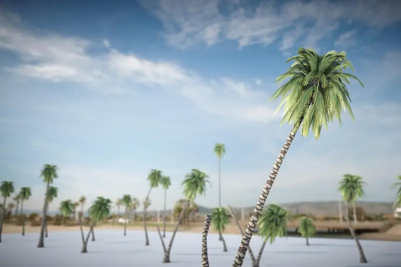 Optimized Palm Trees for Mobile and Other Platforms Asset Thumbnail