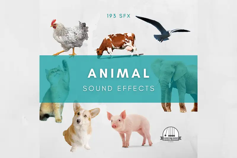 Animal Sound Effects Package Asset Thumbnail