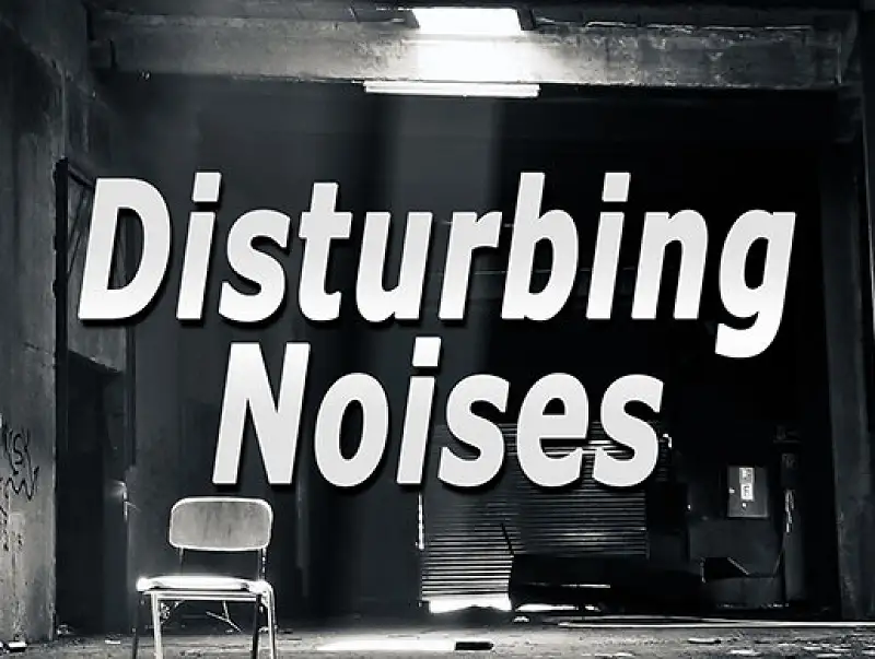 Disturbing Noises Asset Thumbnail