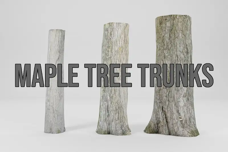 Maple trees Trunk - FPQC Asset Thumbnail