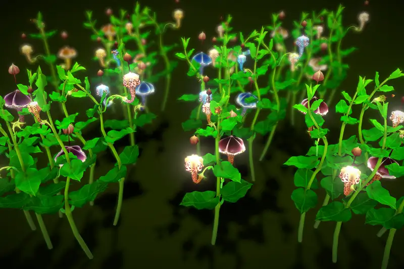 Flower Ceropegia Haygarthii Asset Thumbnail