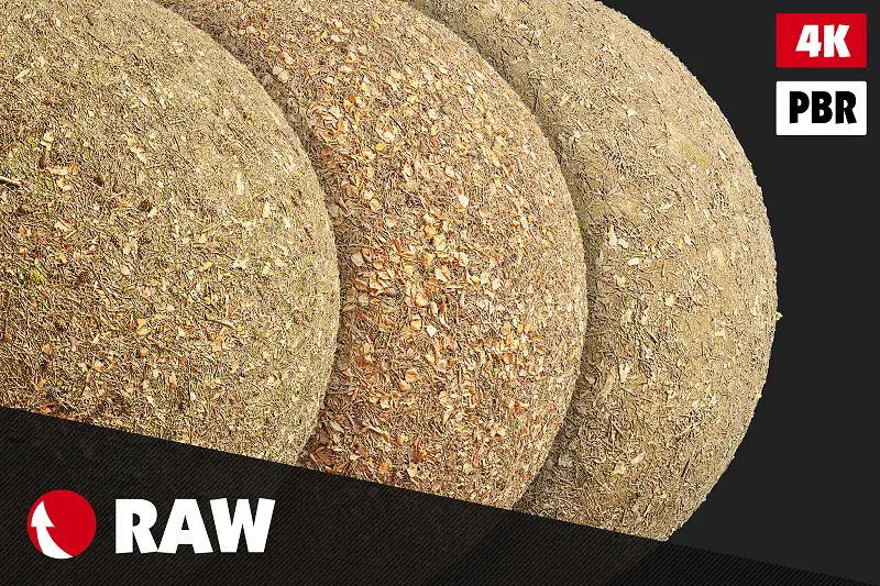 Forest Ground Textures Pack #4 Asset Thumbnail