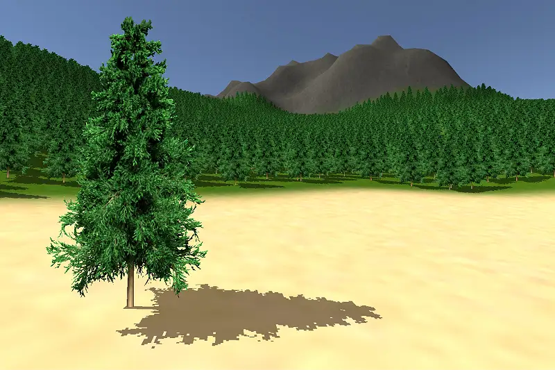 Forest Paint 2 Asset Thumbnail